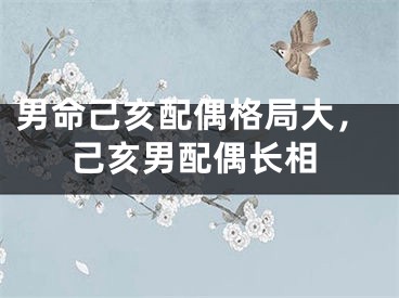 男命己亥配偶格局大,己亥男配偶长相