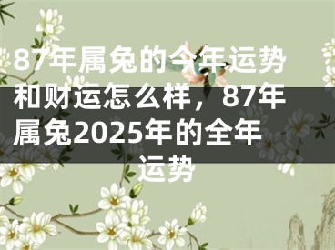 87年属兔的今年运势和财运怎么样，87年属兔2025年的全年运势