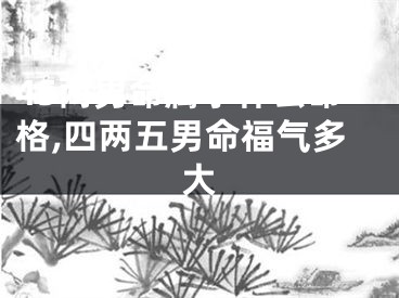 45两男命属于什么命格,四两五男命福气多大