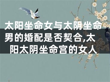 太阳坐命女与太阴坐命男的婚配是否契合,太阳太阴坐命宫的女人