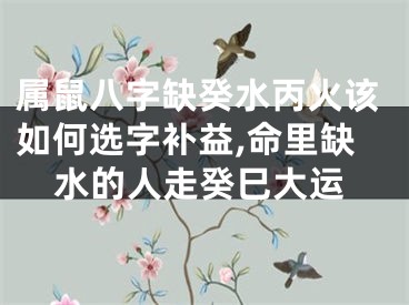 属鼠八字缺癸水丙火该如何选字补益,命里缺水的人走癸巳大运