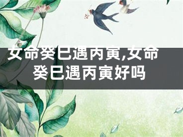女命癸巳遇丙寅,女命癸巳遇丙寅好吗