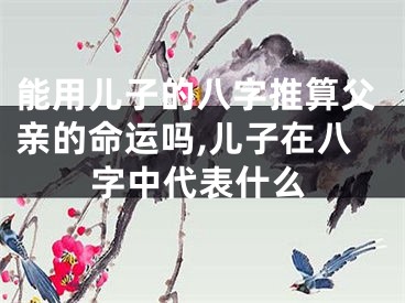 能用儿子的八字推算父亲的命运吗,儿子在八字中代表什么