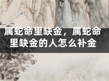 属蛇命里缺金，属蛇命里缺金的人怎么补金