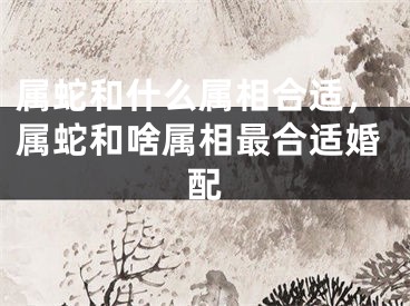 属蛇和什么属相合适，属蛇和啥属相最合适婚配