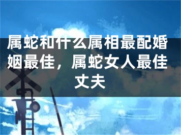 属蛇和什么属相最配婚姻最佳，属蛇女人最佳丈夫