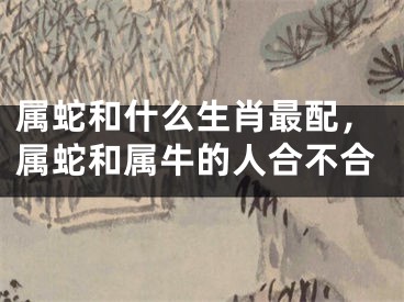 属蛇和什么生肖最配，属蛇和属牛的人合不合