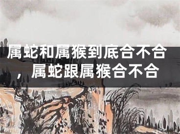 属蛇和属猴到底合不合，属蛇跟属猴合不合