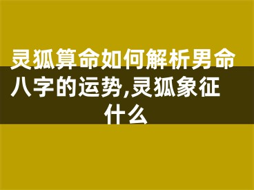 灵狐算命如何解析男命八字的运势,灵狐象征什么