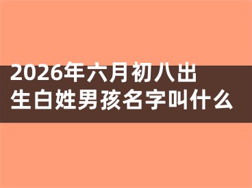 2026年六月初八出生白姓男孩名字叫什么