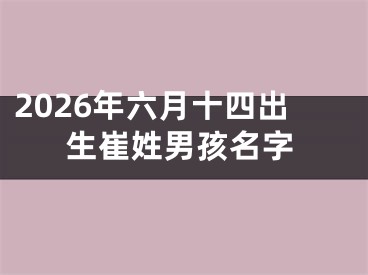2026年六月十四出生崔姓男孩名字