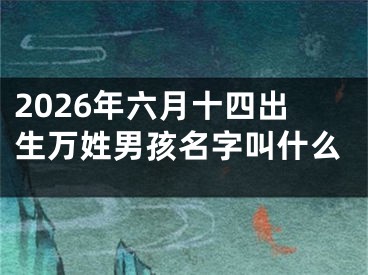 2026年六月十四出生万姓男孩名字叫什么