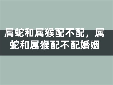 属蛇和属猴配不配，属蛇和属猴配不配婚姻
