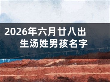 2026年六月廿八出生汤姓男孩名字