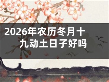 2026年农历冬月十九动土日子好吗