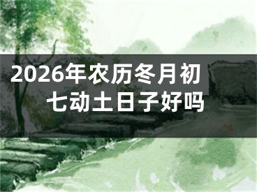 2026年农历冬月初七动土日子好吗