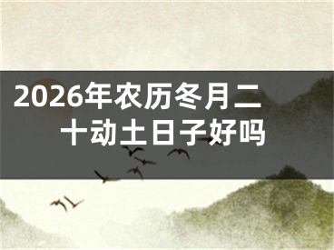 2026年农历冬月二十动土日子好吗