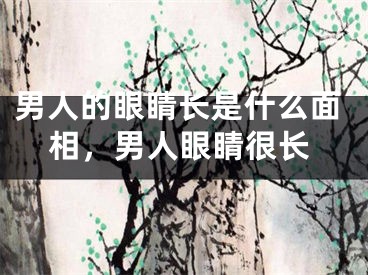 男人的眼睛长是什么面相，男人眼睛很长