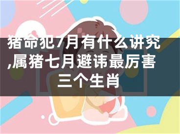 猪命犯7月有什么讲究,属猪七月避讳最厉害三个生肖