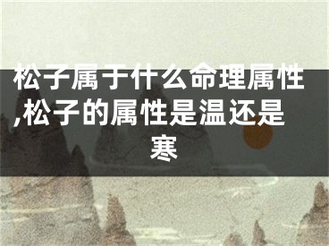 松子属于什么命理属性,松子的属性是温还是寒