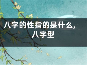 八字的性指的是什么,八字型