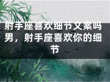 射手座喜欢细节文案吗男，射手座喜欢你的细节