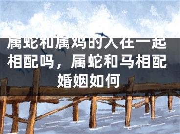 属蛇和属鸡的人在一起相配吗，属蛇和马相配婚姻如何