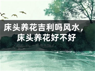 床头养花吉利吗风水，床头养花好不好