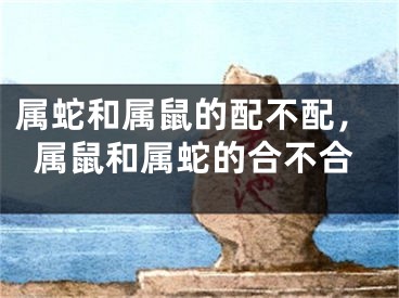属蛇和属鼠的配不配，属鼠和属蛇的合不合