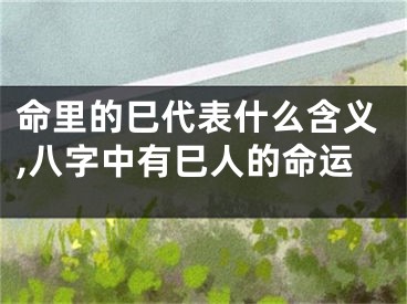 命里的巳代表什么含义,八字中有巳人的命运