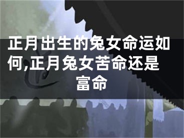 正月出生的兔女命运如何,正月兔女苦命还是富命