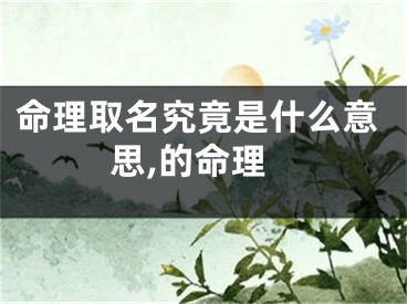 命理取名究竟是什么意思,的命理