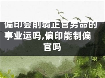 偏印会削弱正官男命的事业运吗,偏印能制偏官吗