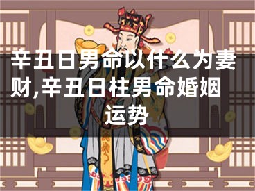 辛丑日男命以什么为妻财,辛丑日柱男命婚姻运势