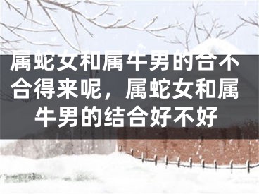 属蛇女和属牛男的合不合得来呢，属蛇女和属牛男的结合好不好
