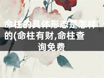 命柱的具体形态是怎样的(命柱有财,命柱查询免费