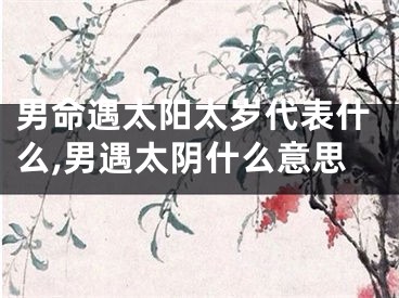 男命遇太阳太岁代表什么,男遇太阴什么意思