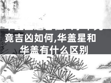 华盖星遇合在八字中究竟吉凶如何,华盖星和华盖有什么区别