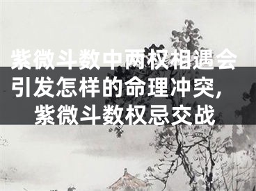 紫微斗数中两权相遇会引发怎样的命理冲突,紫微斗数权忌交战