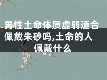 男性土命体质虚弱适合佩戴朱砂吗,土命的人佩戴什么