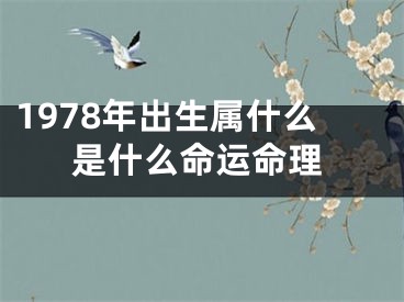 1978年出生属什么是什么命运命理