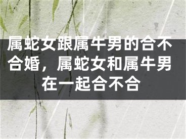 属蛇女跟属牛男的合不合婚，属蛇女和属牛男在一起合不合