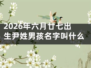 2026年六月廿七出生尹姓男孩名字叫什么