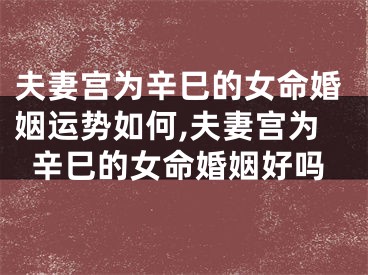 夫妻宫为辛巳的女命婚姻运势如何,夫妻宫为辛巳的女命婚姻好吗