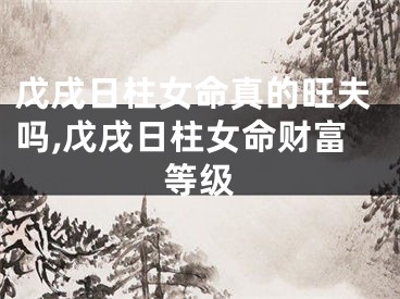 戊戌日柱女命真的旺夫吗,戊戌日柱女命财富等级