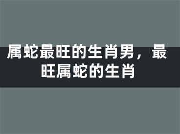 属蛇最旺的生肖男，最旺属蛇的生肖