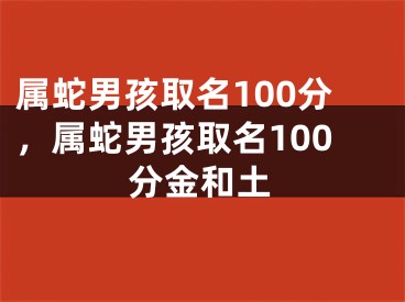 属蛇男孩取名100分，属蛇男孩取名100分金和土