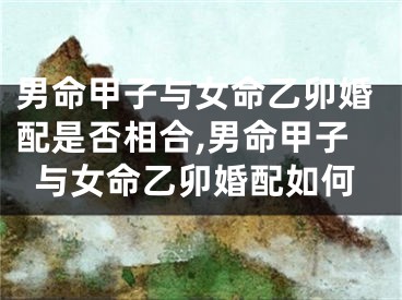 男命甲子与女命乙卯婚配是否相合,男命甲子与女命乙卯婚配如何