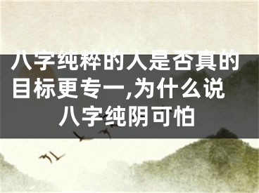 八字纯粹的人是否真的目标更专一,为什么说八字纯阴可怕