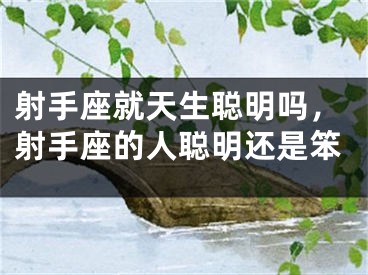 射手座就天生聪明吗，射手座的人聪明还是笨